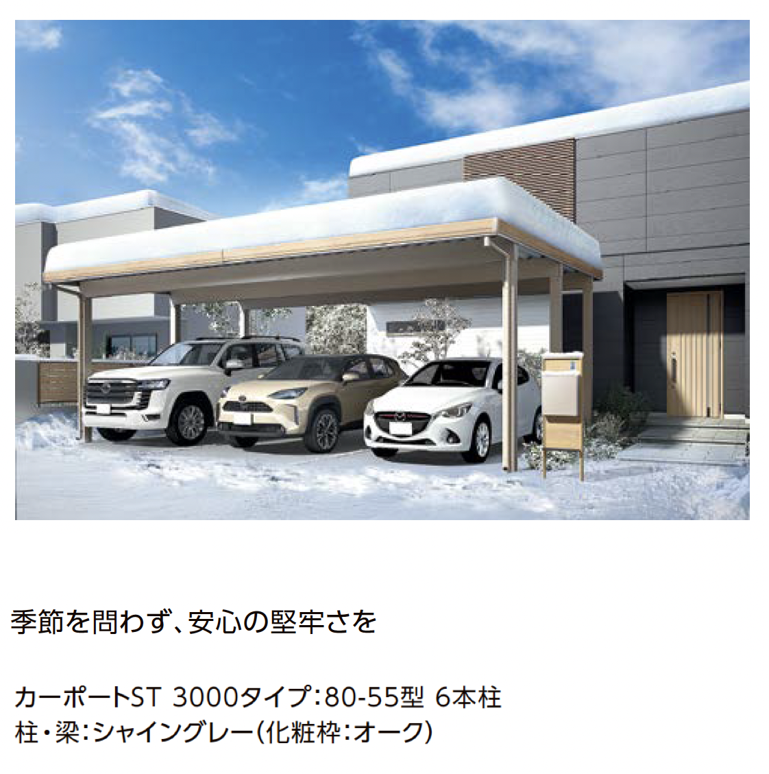 よよさん専用 ピヨさん専用 とよさん専用 とよさん専用 ZXMOTO LLC