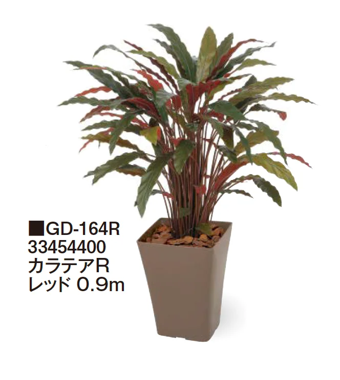 タカショーの「観葉植物【2024年版】」のサブ画像27