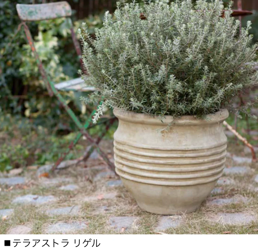 オンリーワンクラブの「テラアストラ」のサブ画像2