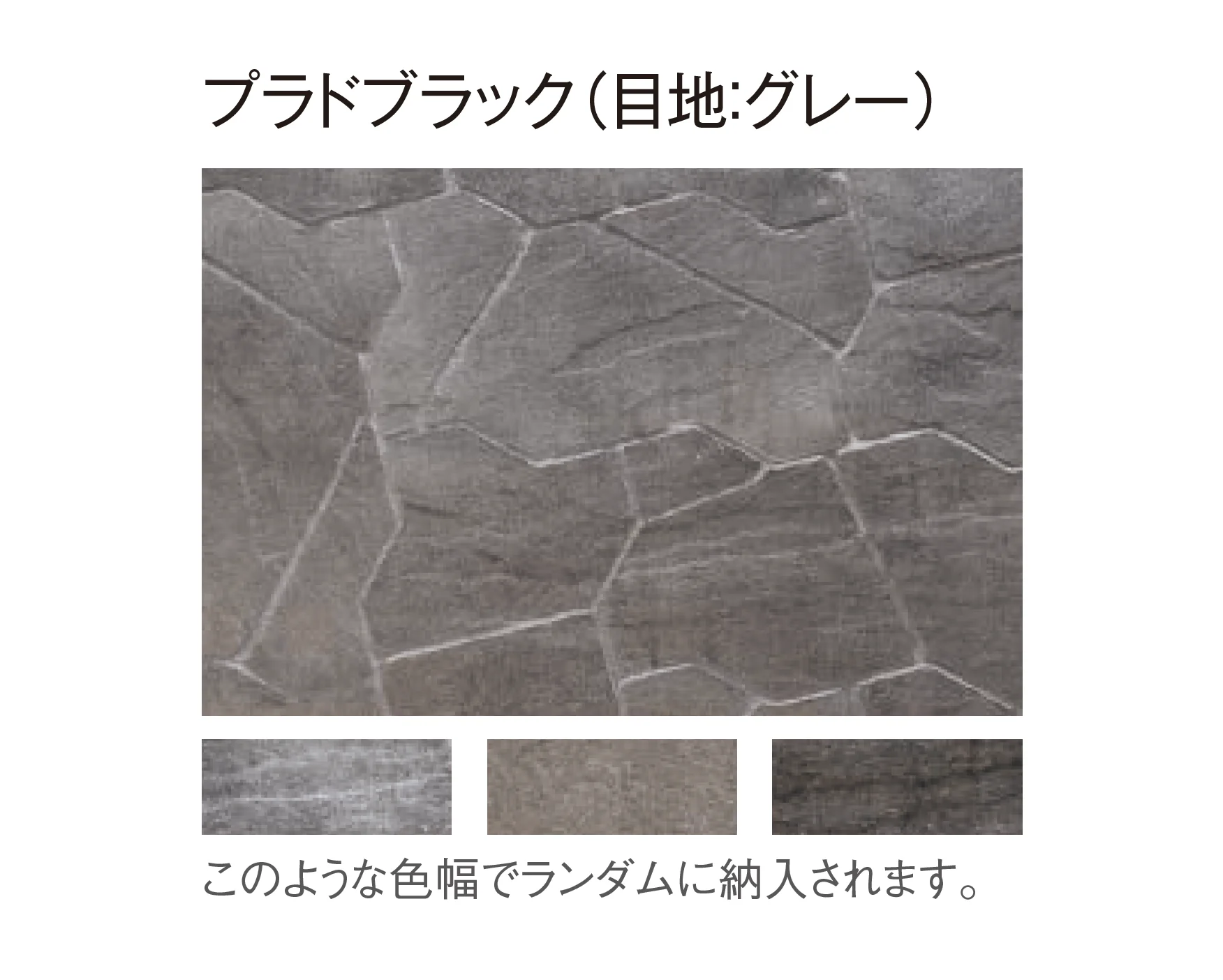東洋工業の「プラーガストーン」のサブ画像9