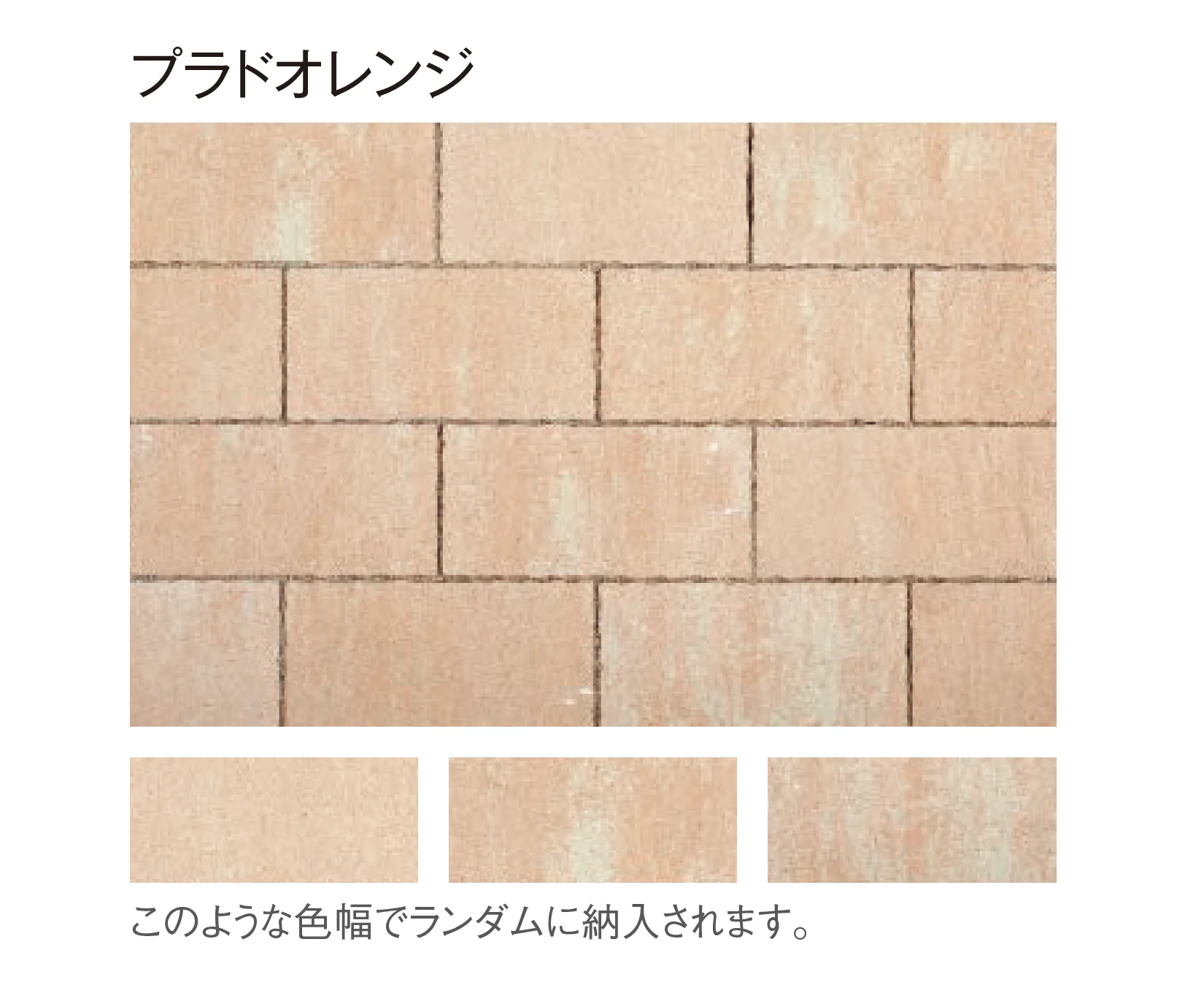 東洋工業の「プラーガブリック」のサブ画像6