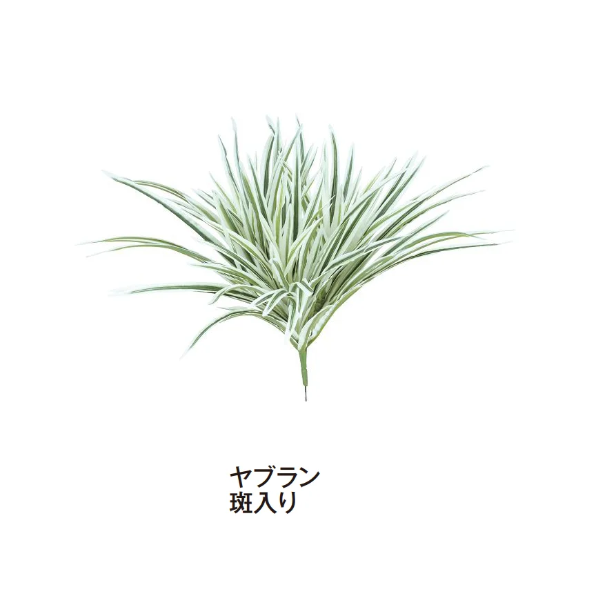 タカショーの「グランドカバー 下草」のサブ画像12