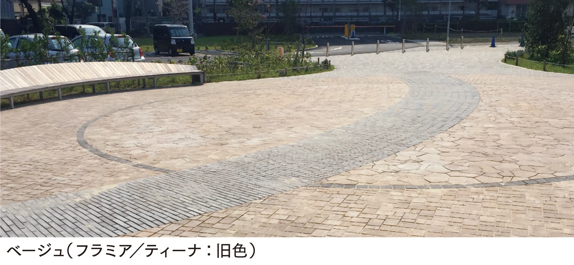 マチダコーポレーションの「カッシア」