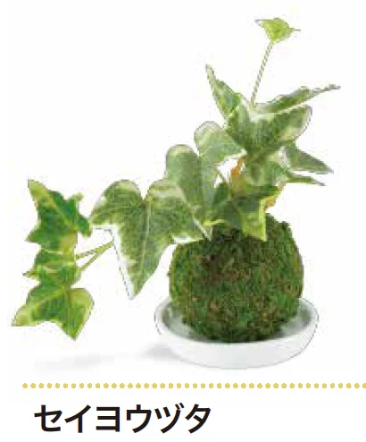 ゆとりの「消臭アーティフィシャルグリーン WA BONSAI 【2022年版】」のサブ画像2