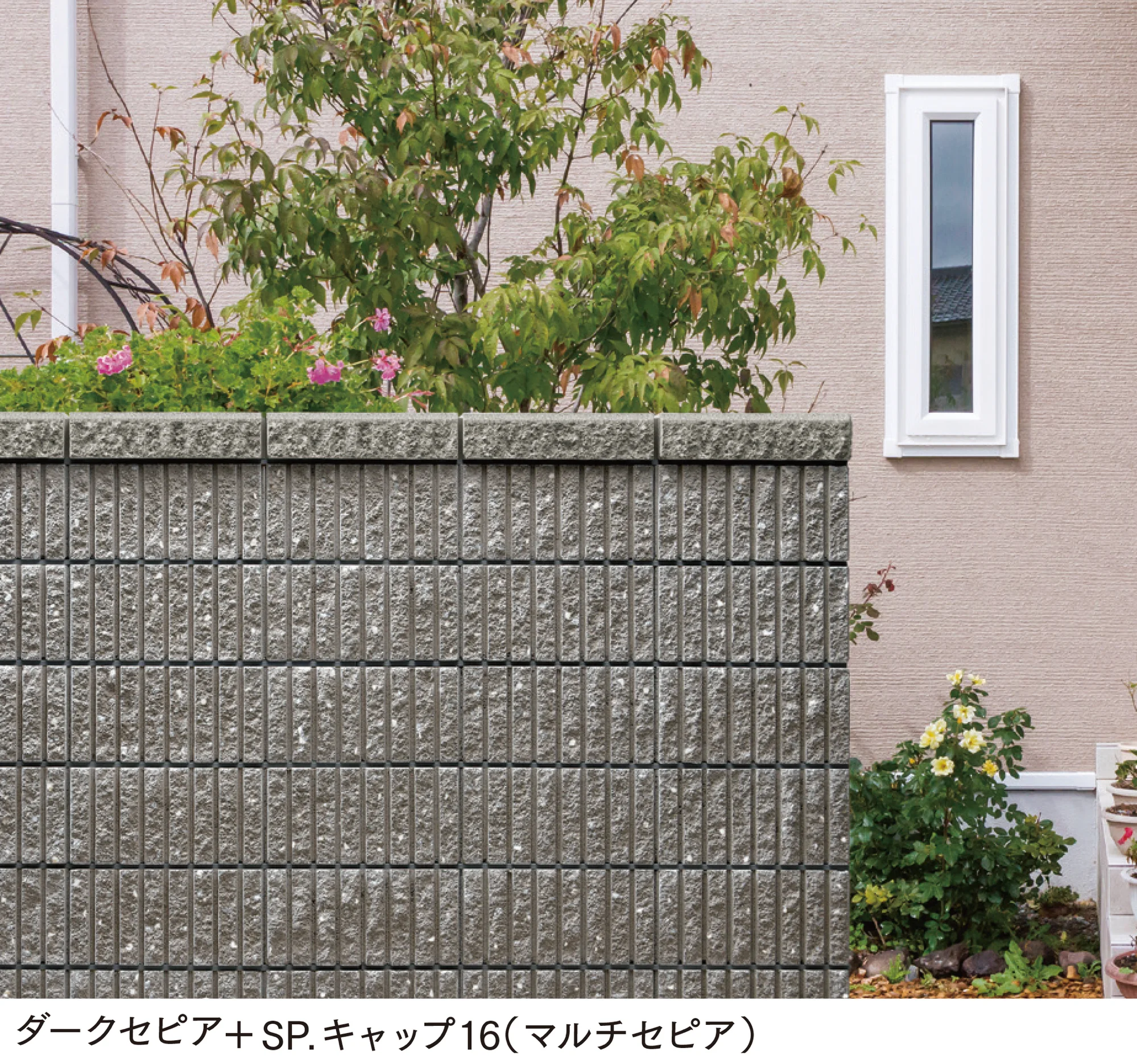 マチダコーポレーションの「プレミアラグゼ 12/15」のサブ画像3
