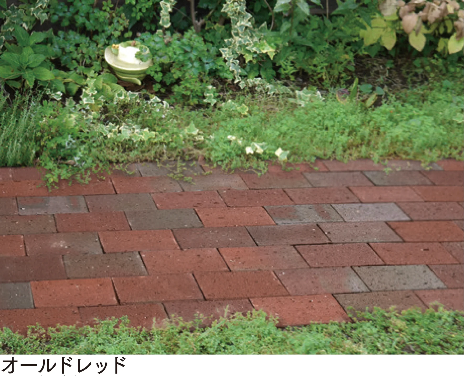 マチダコーポレーションの「ビクトリアペイブ」のサブ画像2