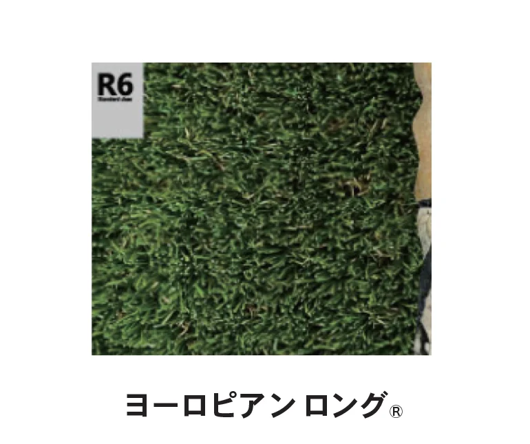 Bullsの「ブルズターフR6 <スタンダードクラス>」のサブ画像2
