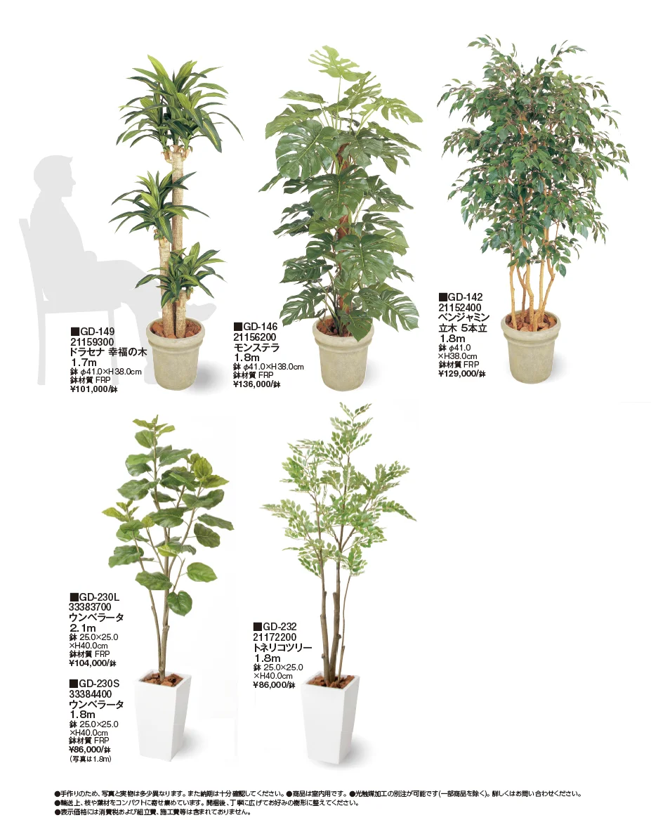 観葉植物【2024年版】_価格_1