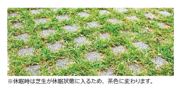 太陽エコブロックスの「芝⽣（緑化舗装⽤）【東日本】【2023年版】」