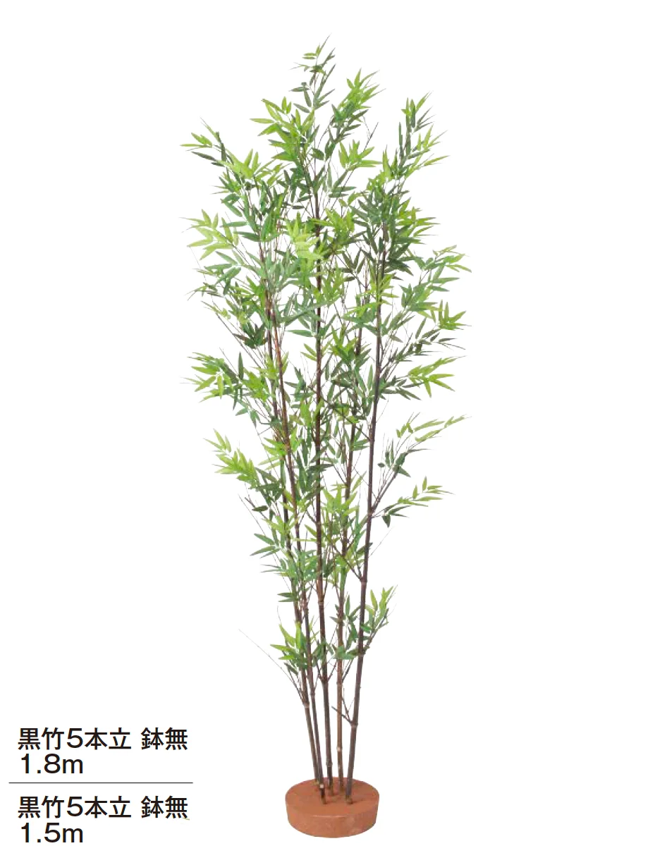 竹 和風