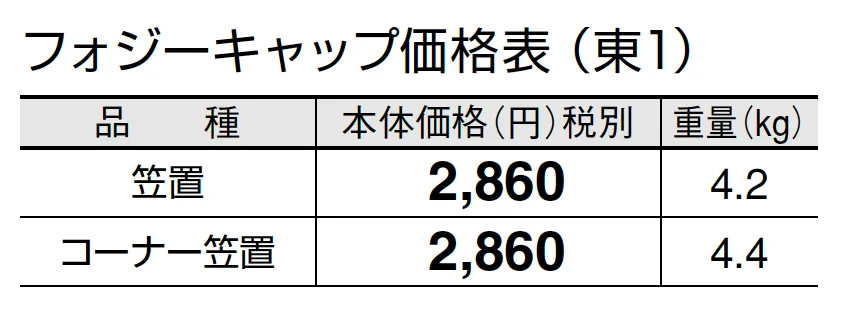 フォジーキャップ【2024年版】_価格_1