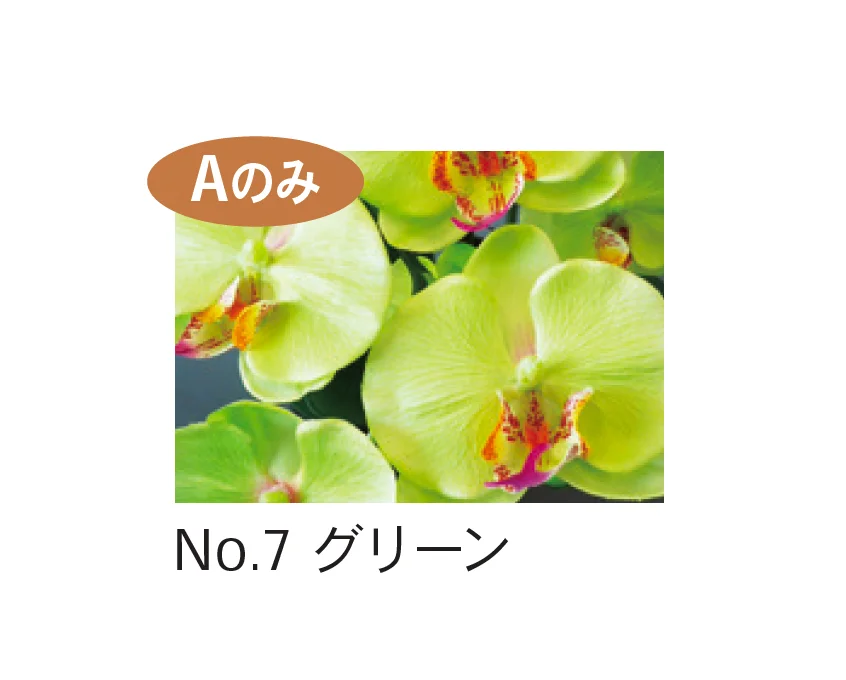 Bullsの「アートフラワー 胡蝶蘭」のサブ画像7