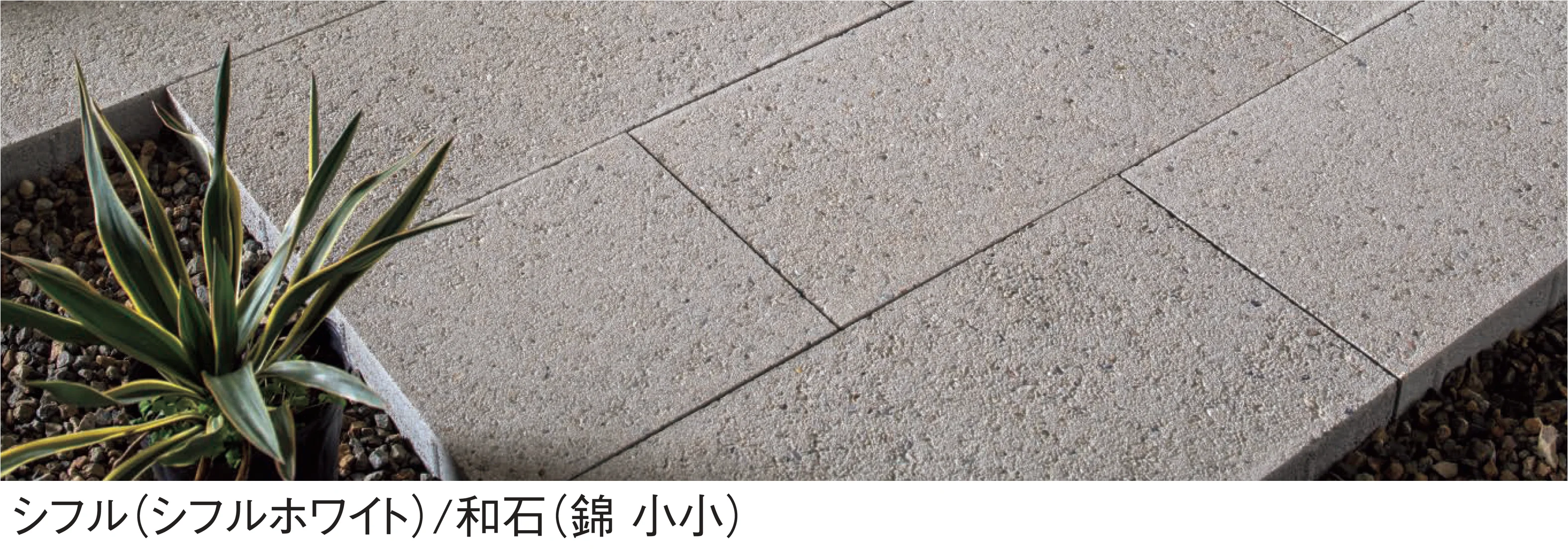 東洋工業の「シフル」のサブ画像1