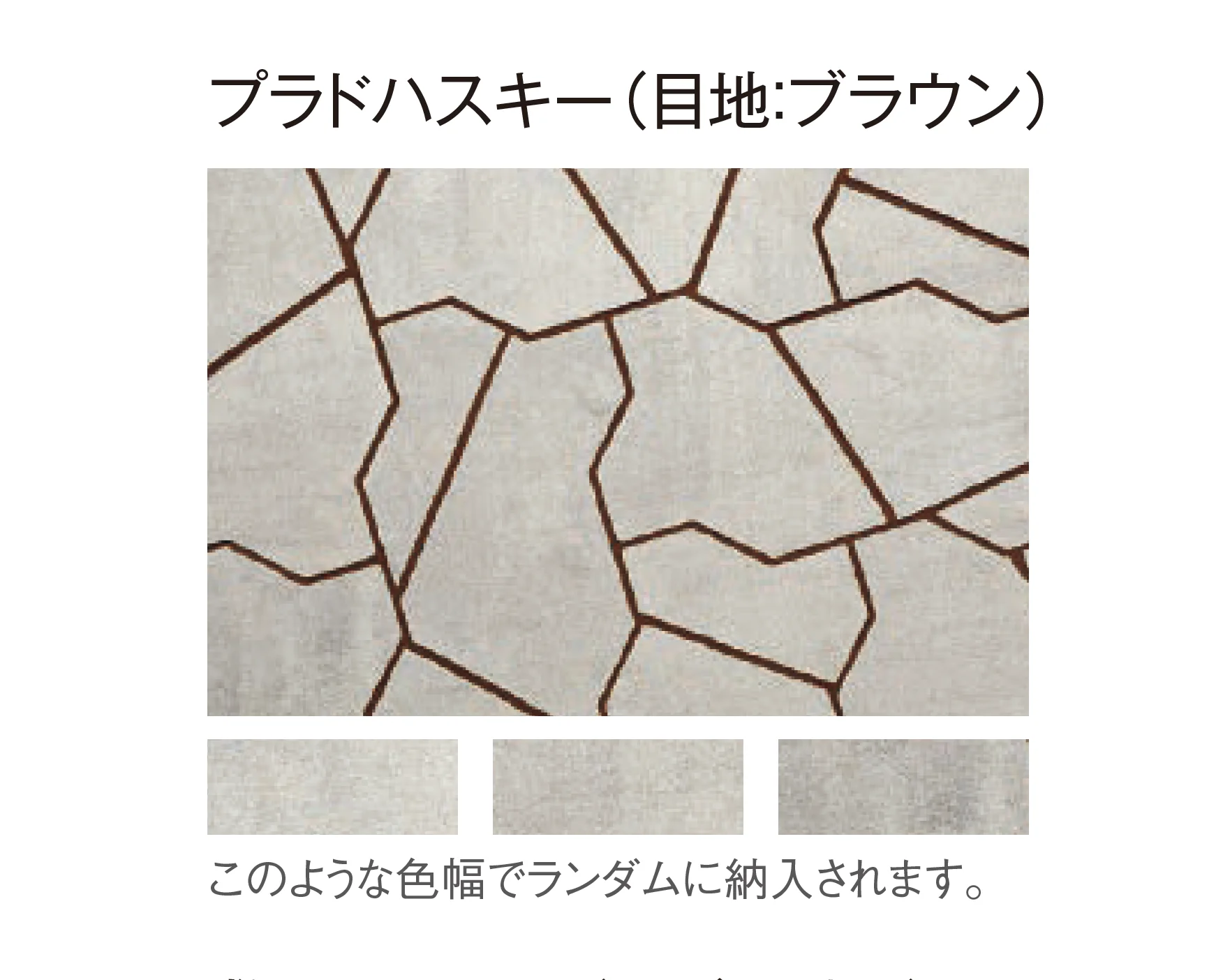 東洋工業の「プラーガストーン」のサブ画像8