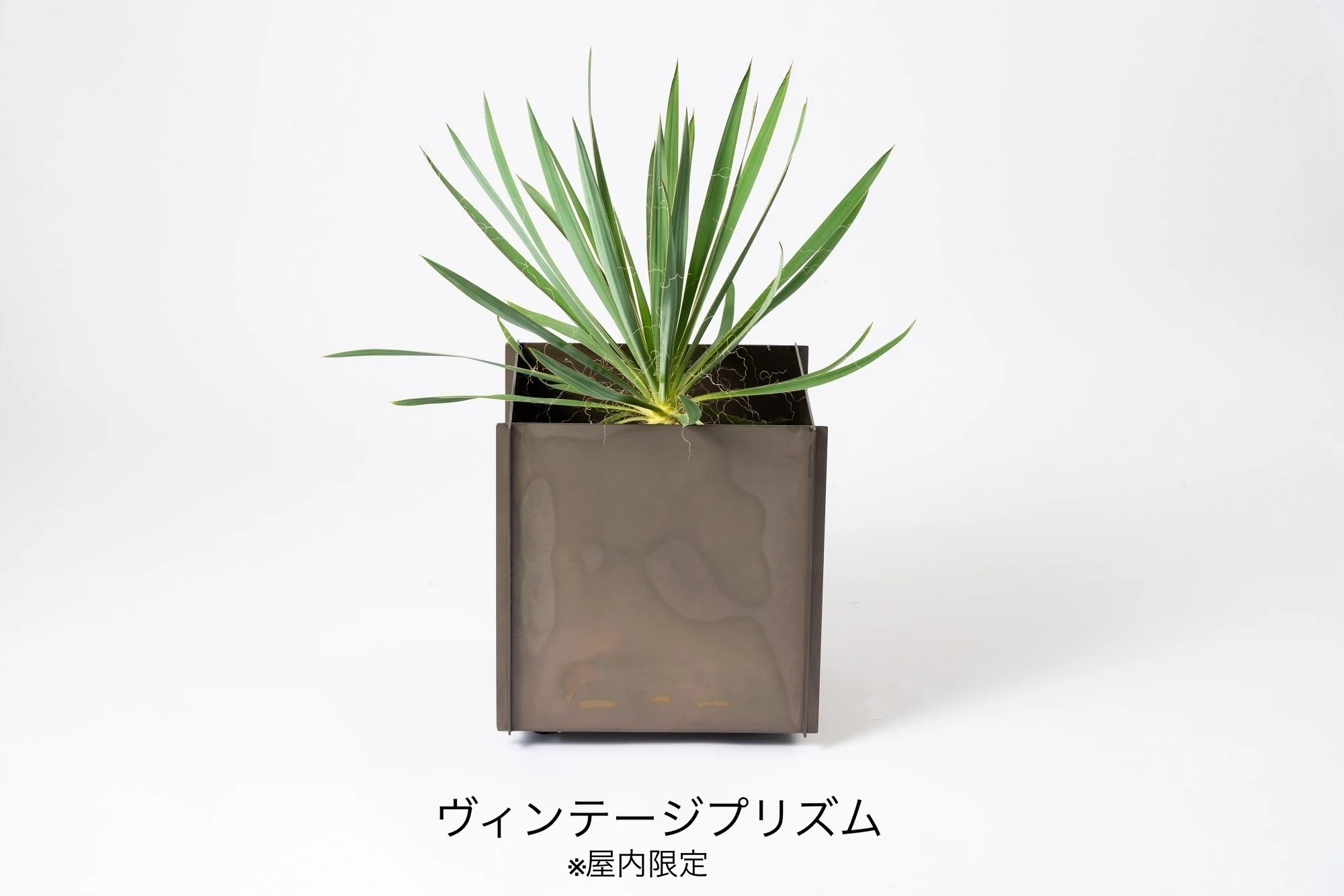 カツデンの「プラントボックス 鉄鉢(てっぱち)」のサブ画像9
