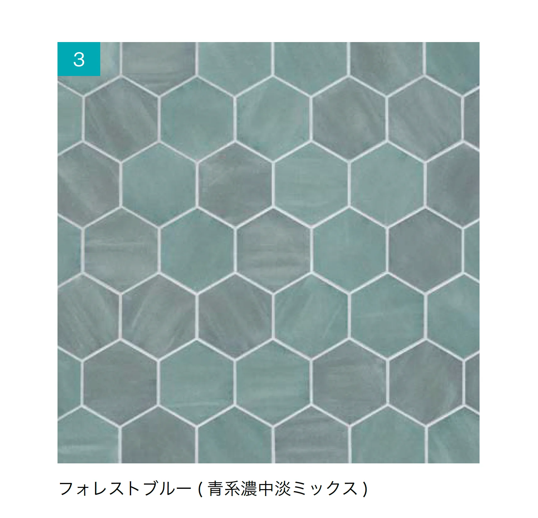 オンリーワンクラブの「ビラージュ RMP」のサブ画像6