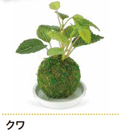 ゆとりの「消臭アーティフィシャルグリーン WA BONSAI 【2022年版】」のサブ画像3