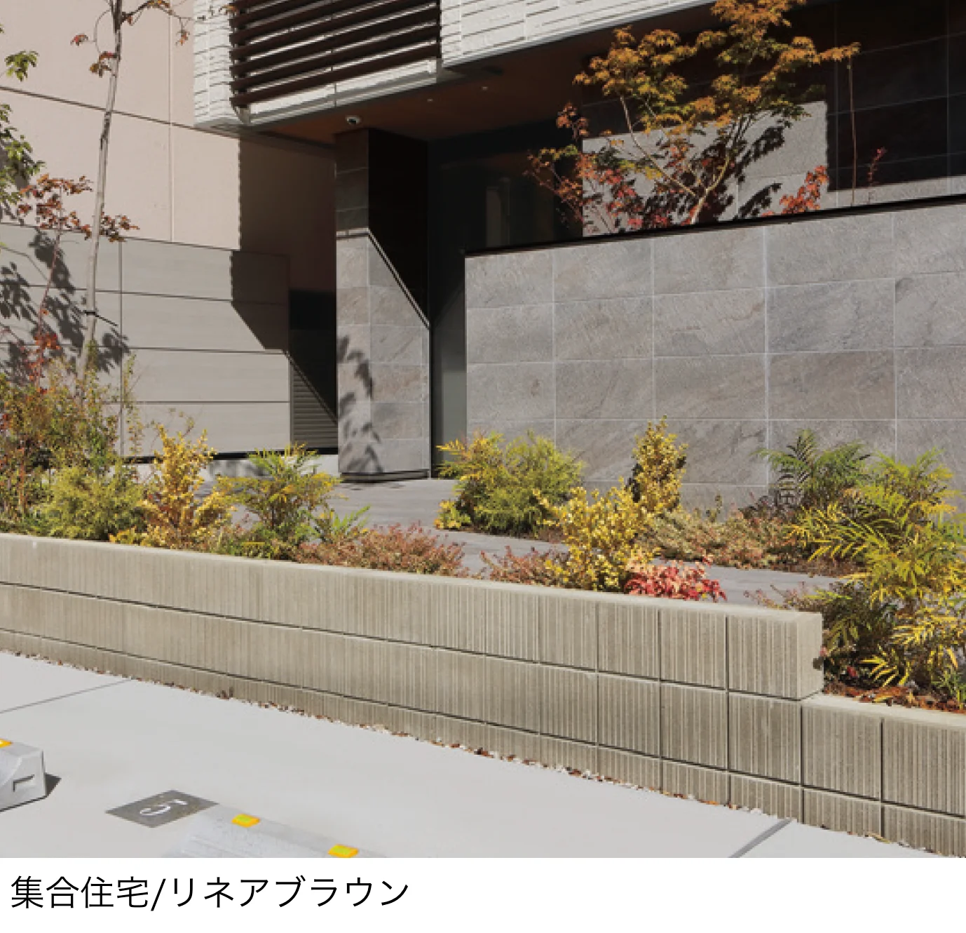 ユニソンの「リゲル®︎」