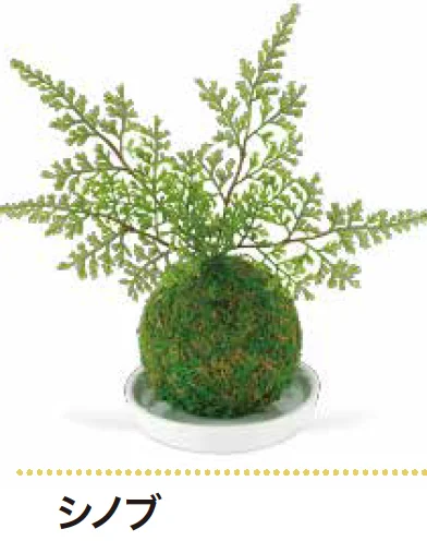 ゆとりの「消臭アーティフィシャルグリーン WA BONSAI 【2022年版】」のサブ画像1