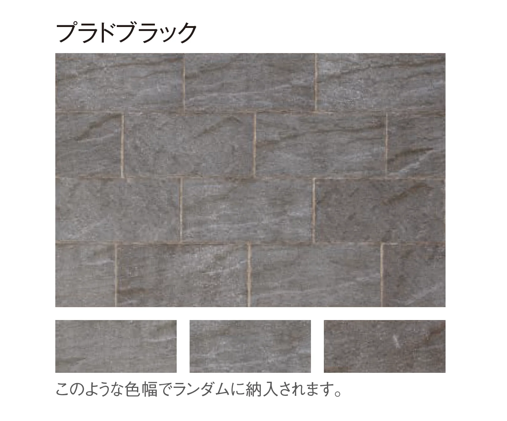 東洋工業の「プラーガブリック」のサブ画像9