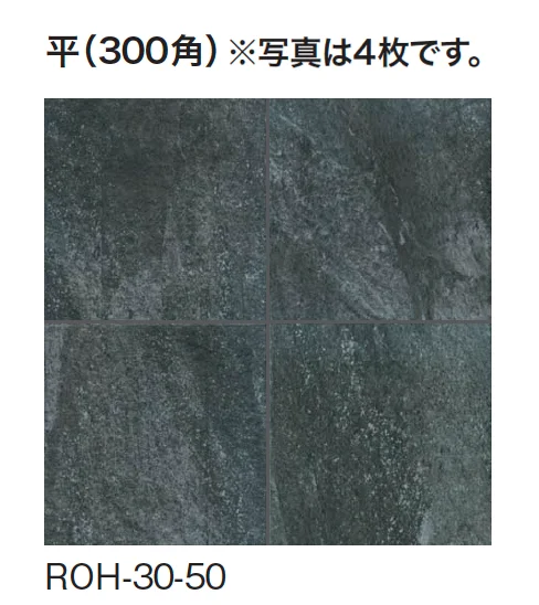 ギャザーの「ローク」のサブ画像5