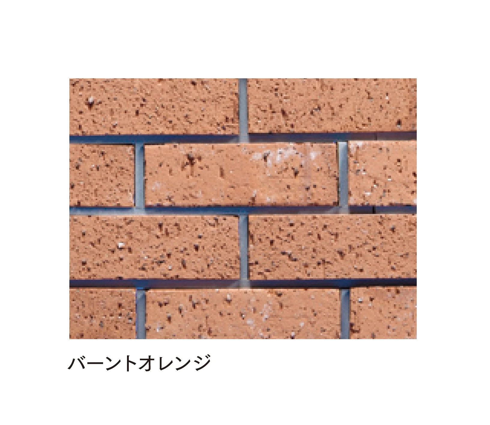 マチダコーポレーションの「ビクトリアブリック」のサブ画像5