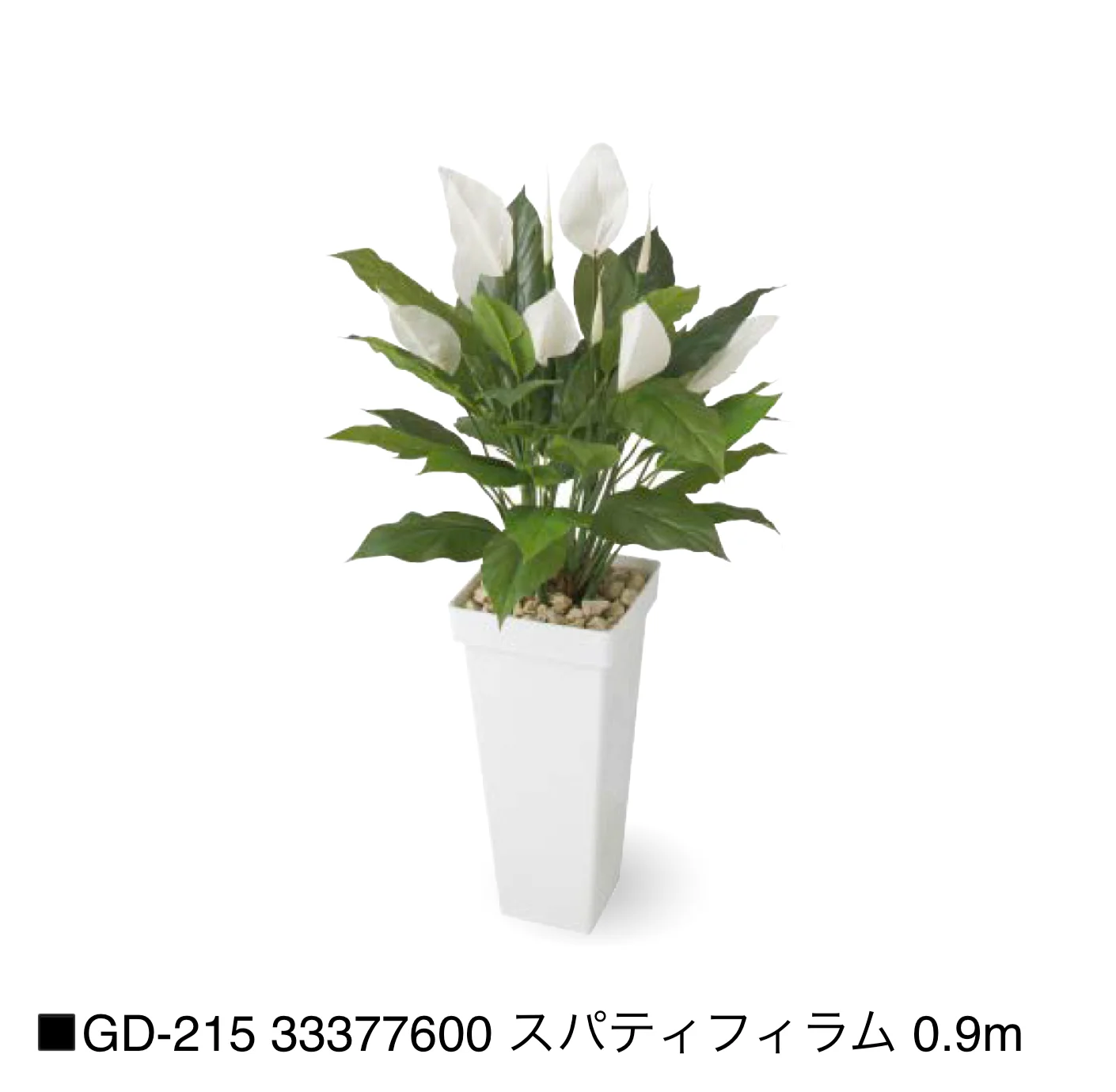 タカショーの「観葉植物【2025年版】」のサブ画像26