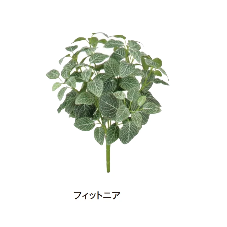 タカショーの「グランドカバー 下草」のサブ画像19