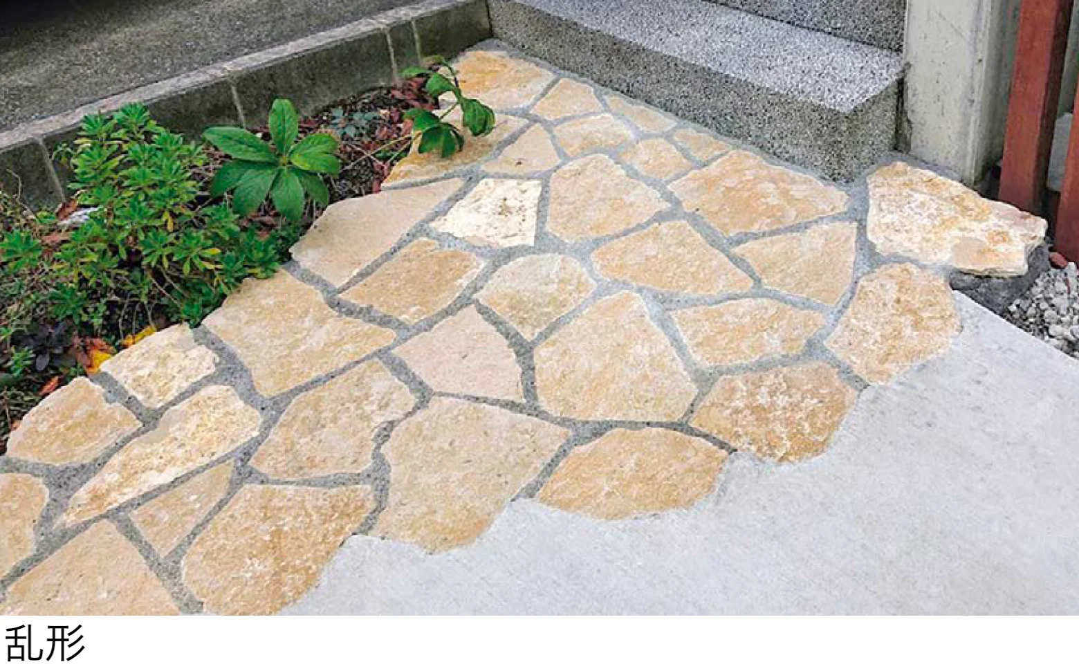 オンリーワンクラブの「ブルゴーニュ」のサブ画像1