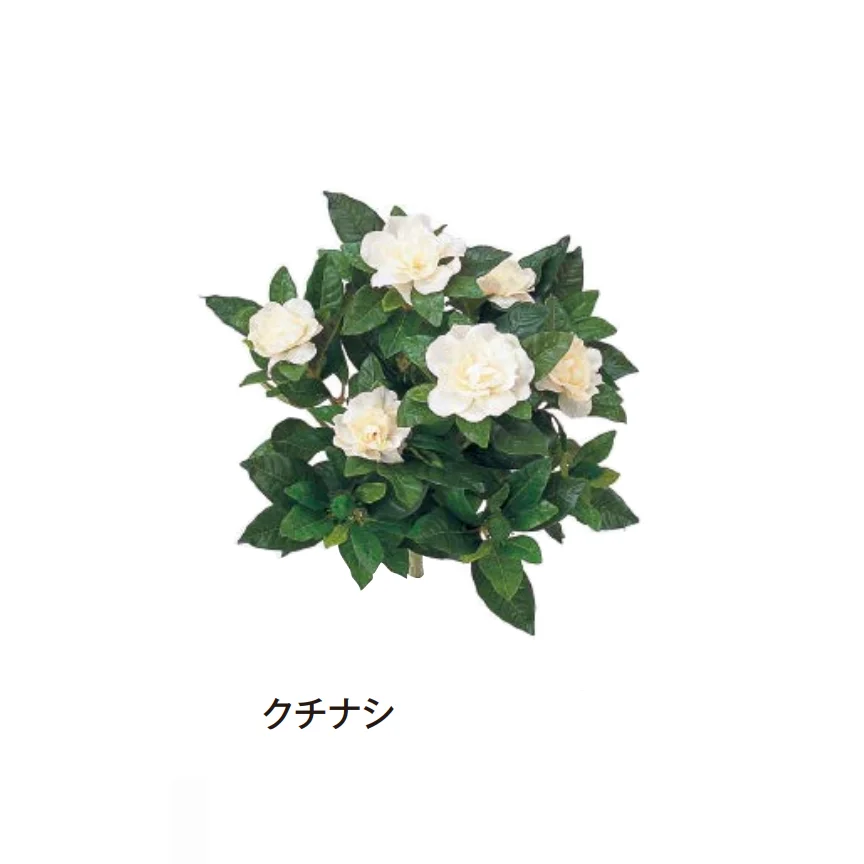 タカショーの「グランドカバー 下草」のサブ画像6