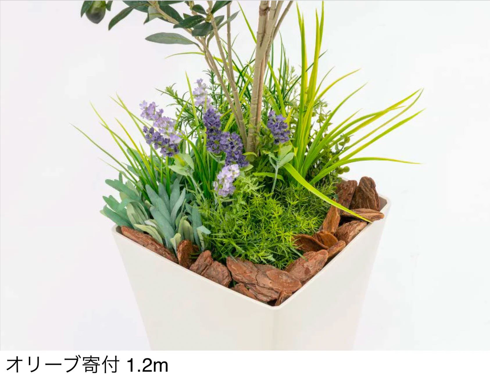 タカショー | 観葉植物【2025年版】 | 建材サーチ