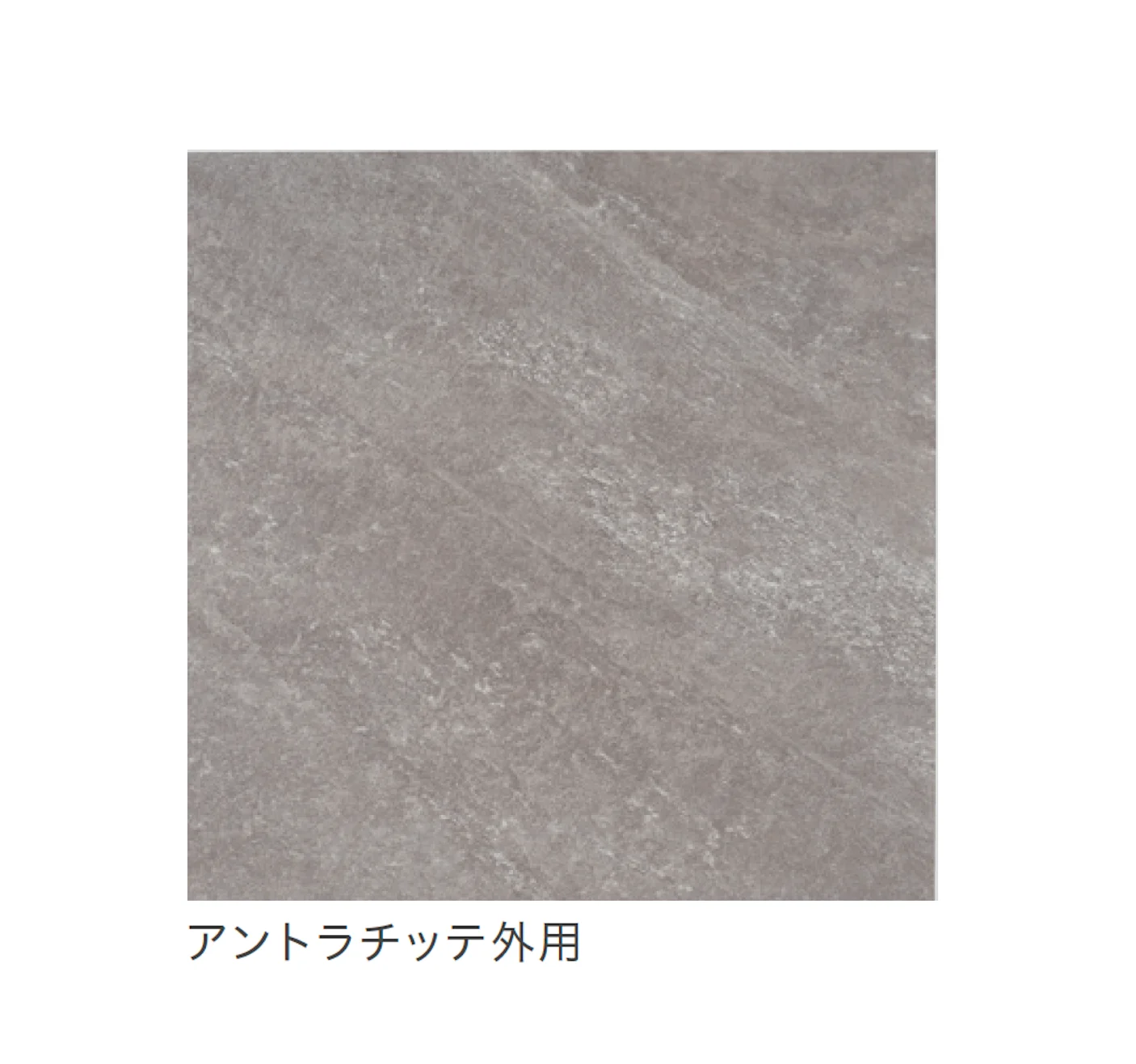リビエラの「ペトラ」のサブ画像15