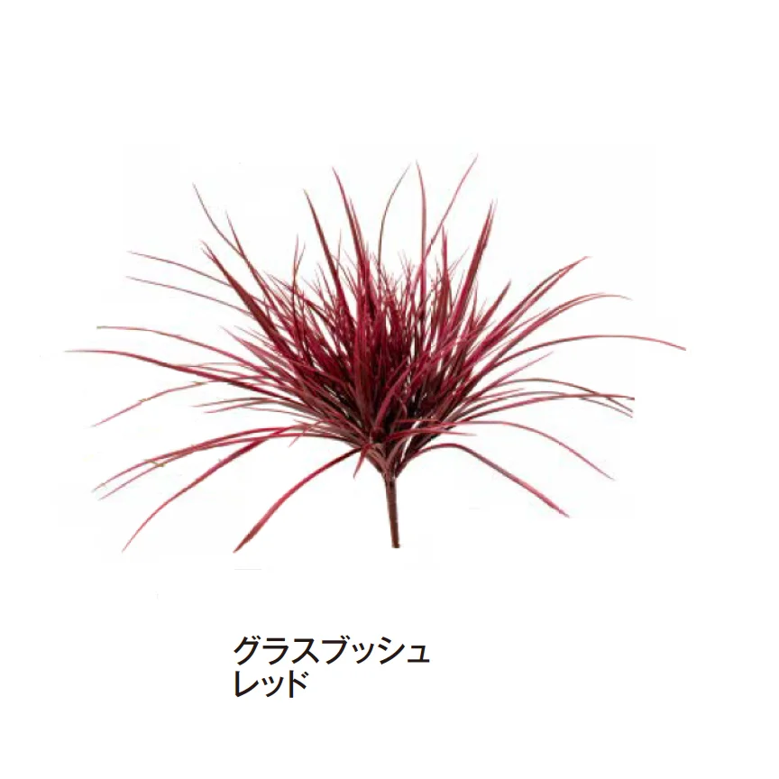 タカショーの「グランドカバー 下草」のサブ画像9