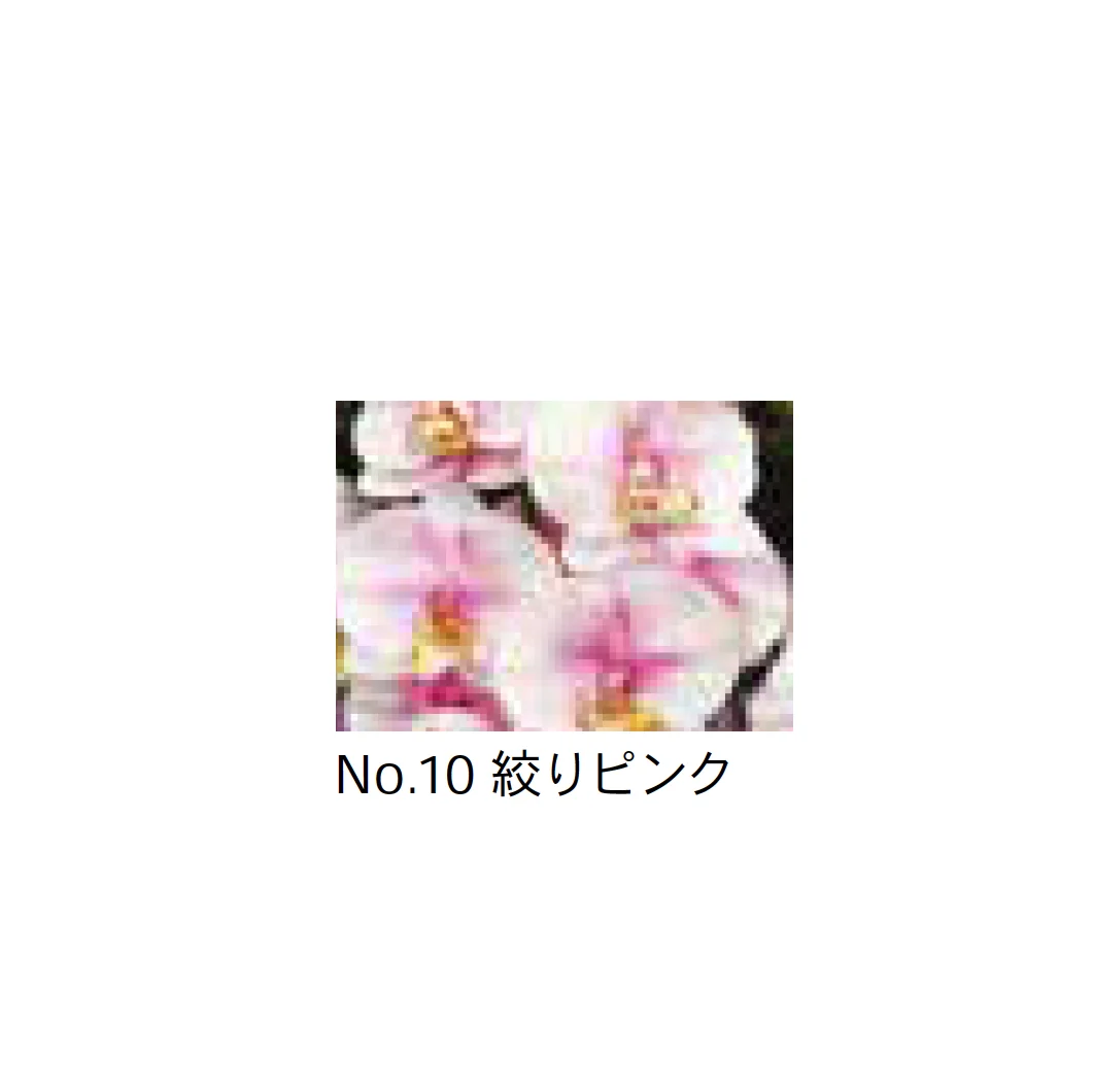 Bullsの「アートフラワー 胡蝶蘭【2025年版】」のサブ画像10