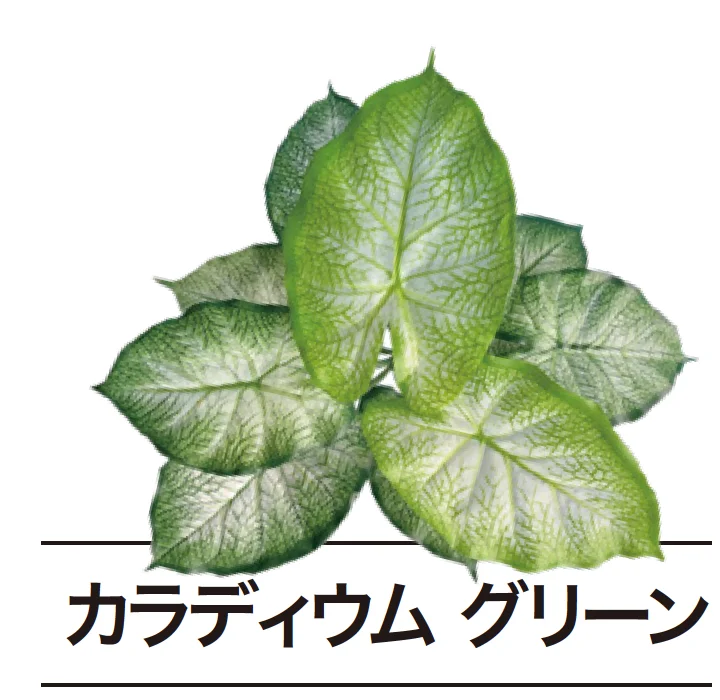 ゆとりの「ぴたっとグリーン【2024年版】」のサブ画像16