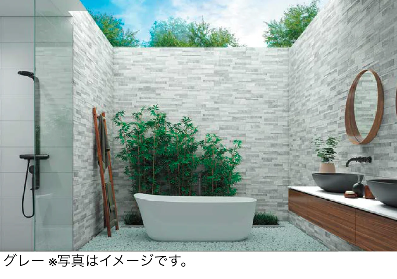 エクシスランドの「レイリア」のサブ画像4