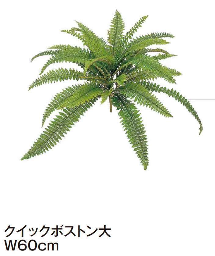 タカショーの「グランドカバー 下草【2024年版】」のサブ画像18