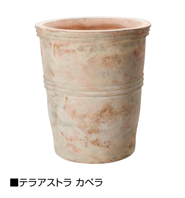オンリーワンクラブの「テラアストラ」のサブ画像6