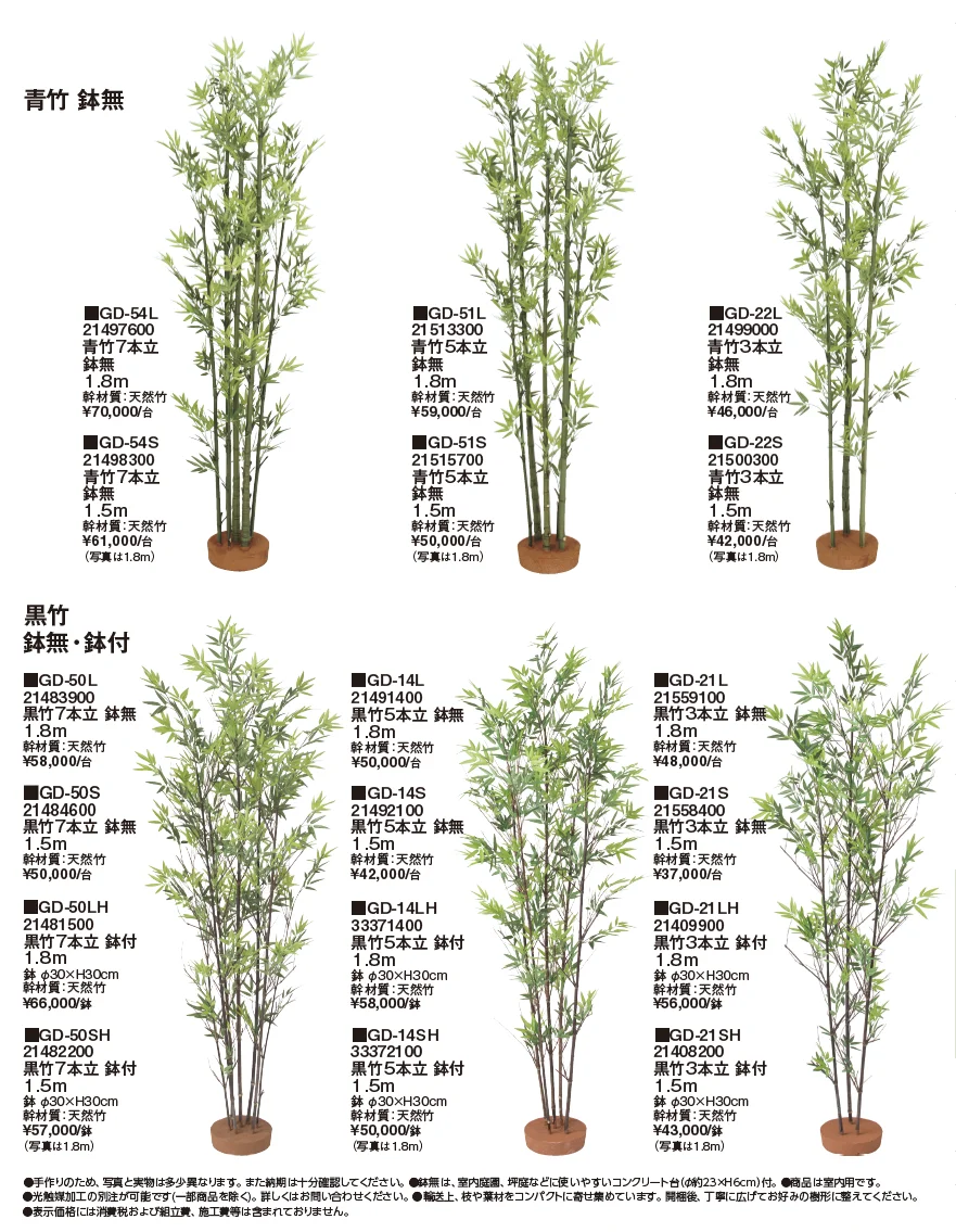 和風竹【2024年版】_価格_1