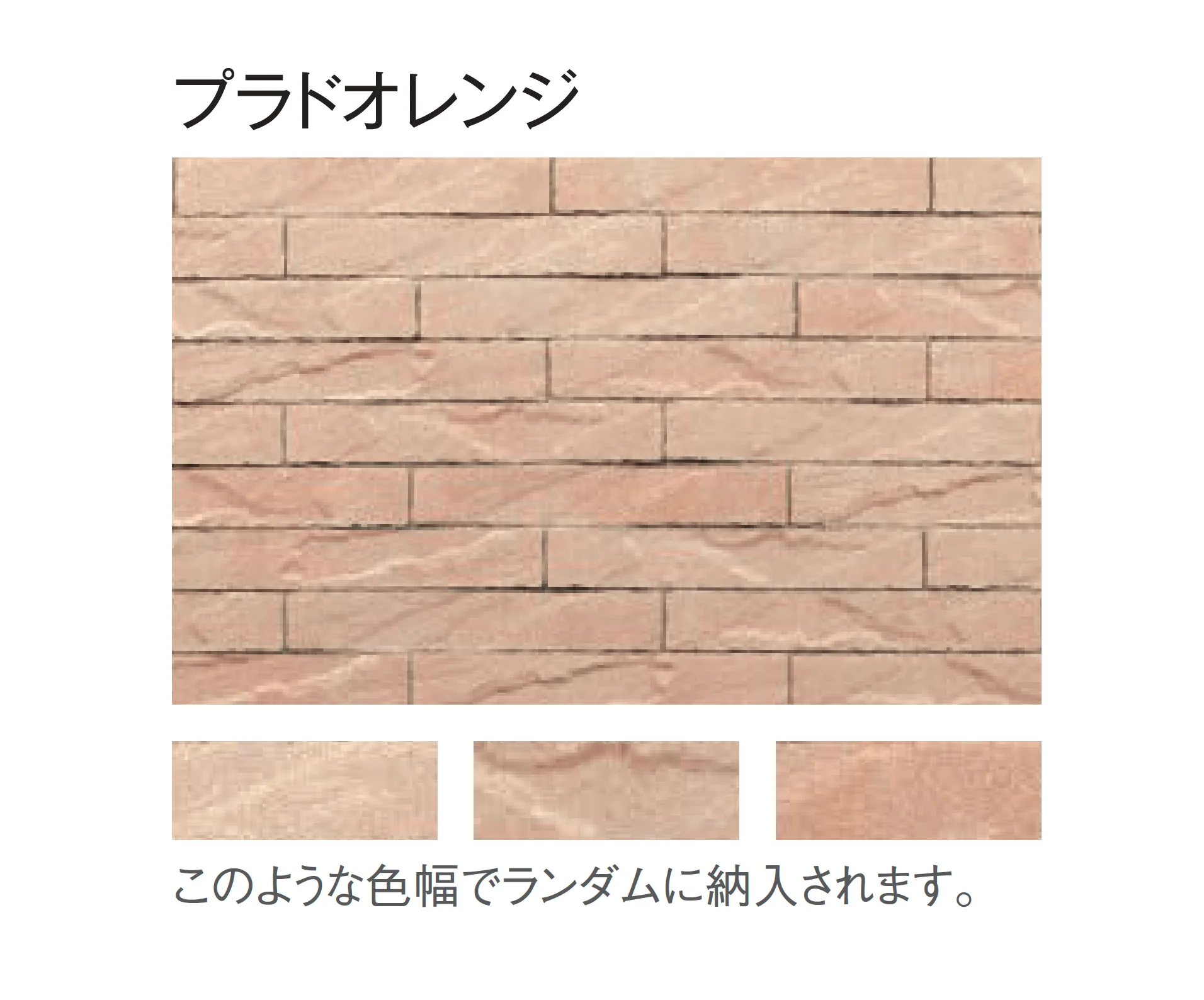 東洋工業の「プラーガボーダー」のサブ画像6