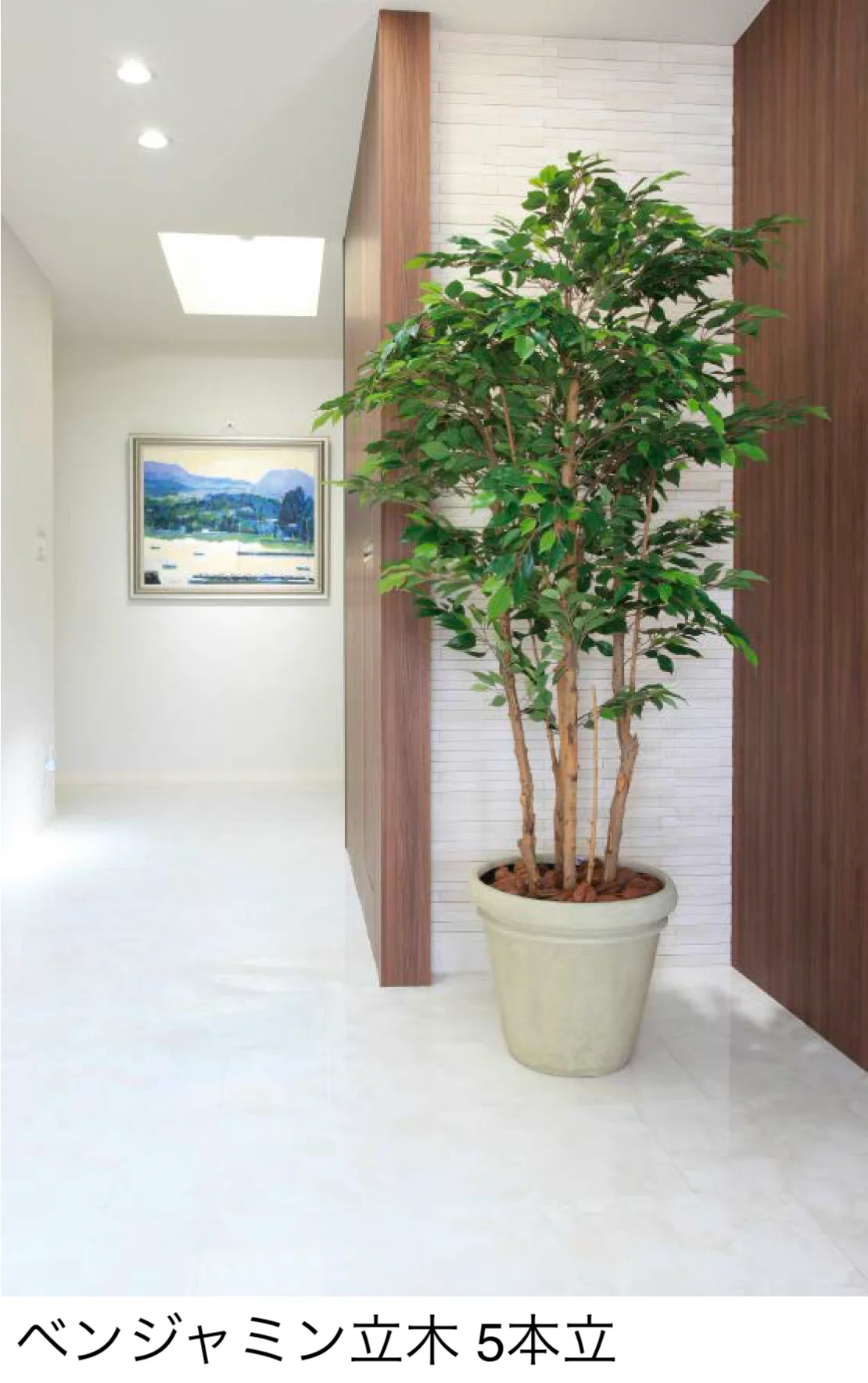 タカショー | 観葉植物 | 建材サーチ