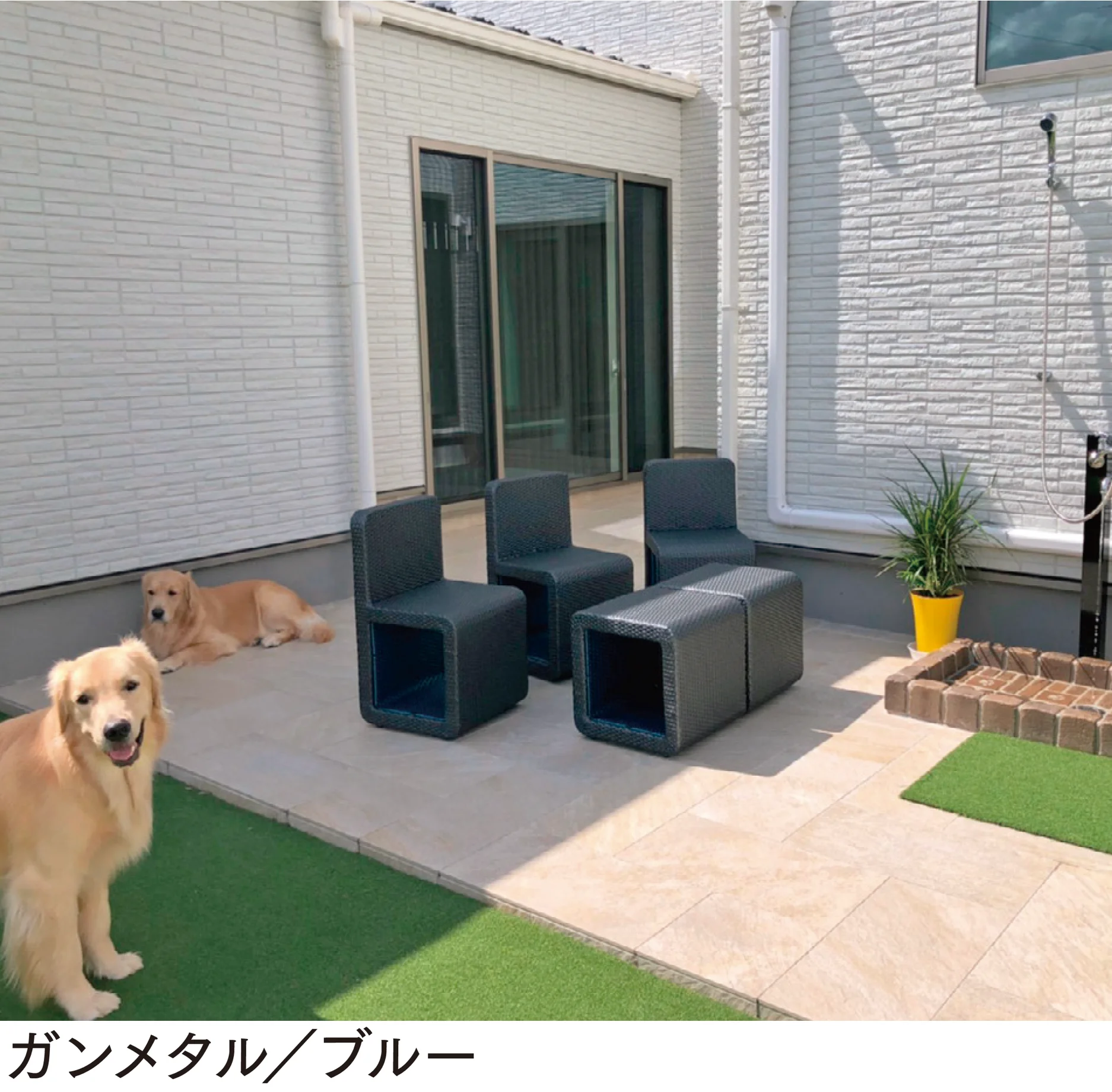 マチダコーポレーションの「ココ」