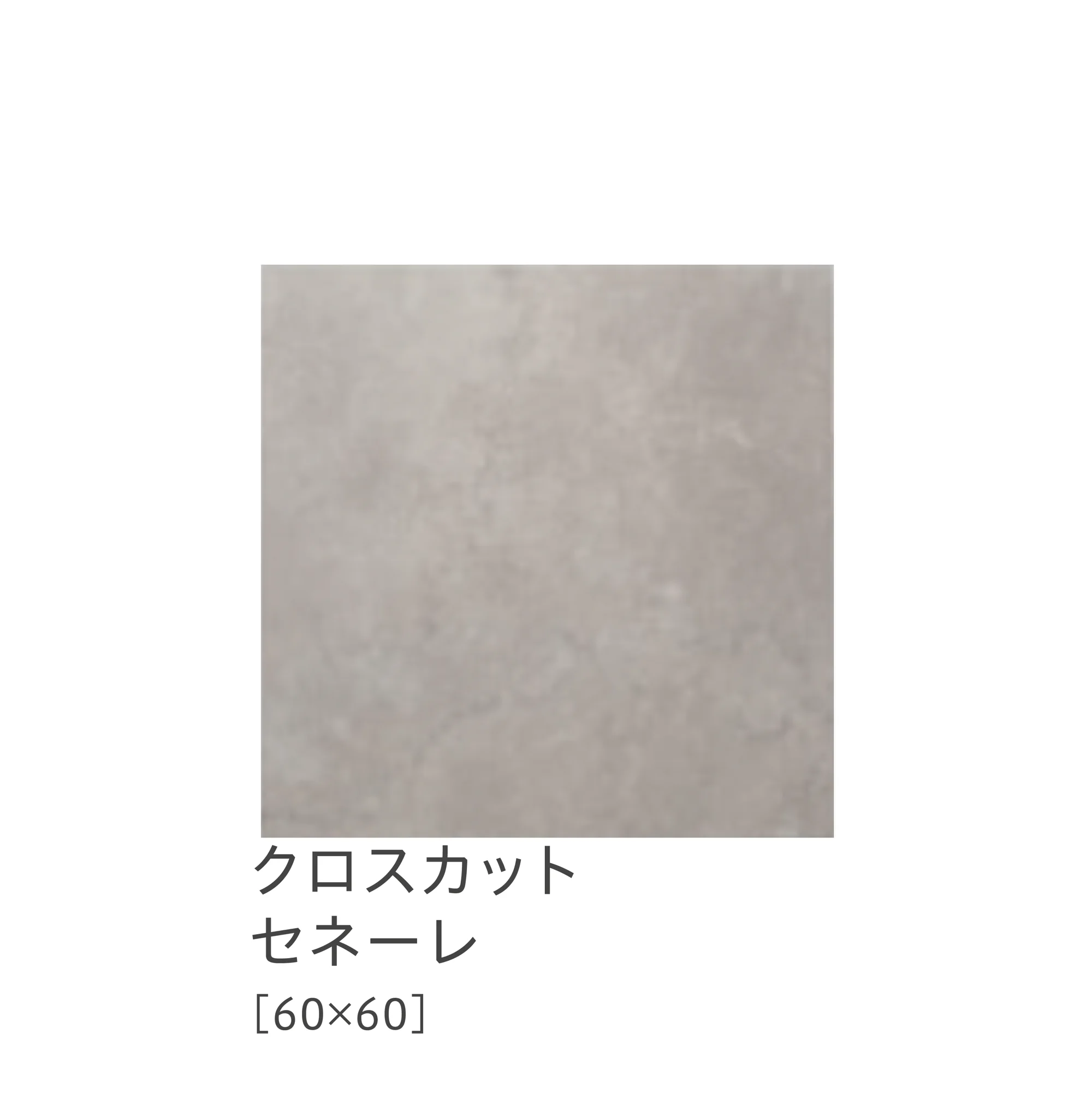 リビエラの「ドルセット」のサブ画像11