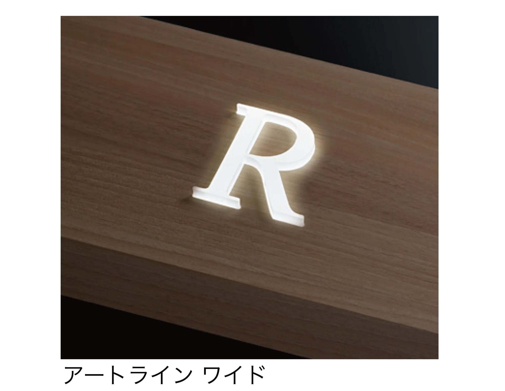 タカショーの「デジテックサイン アートライン」のサブ画像5