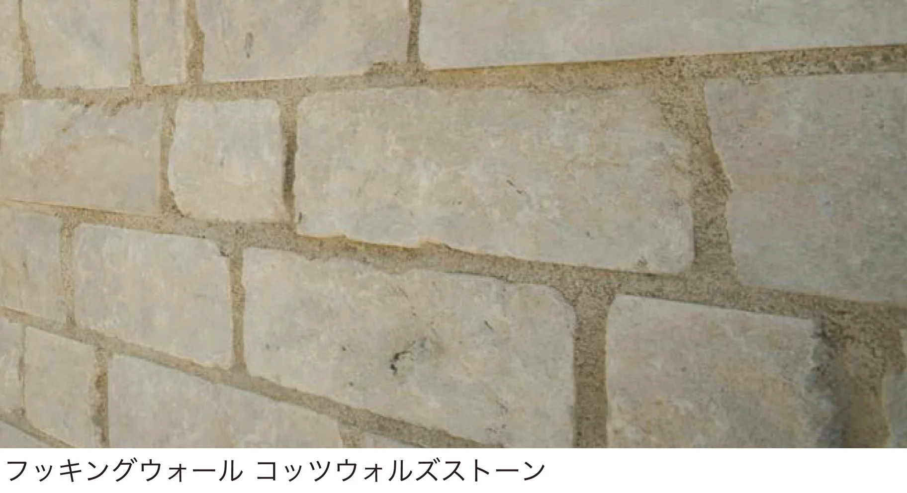オンリーワンクラブの「フッキングウォール」のサブ画像2