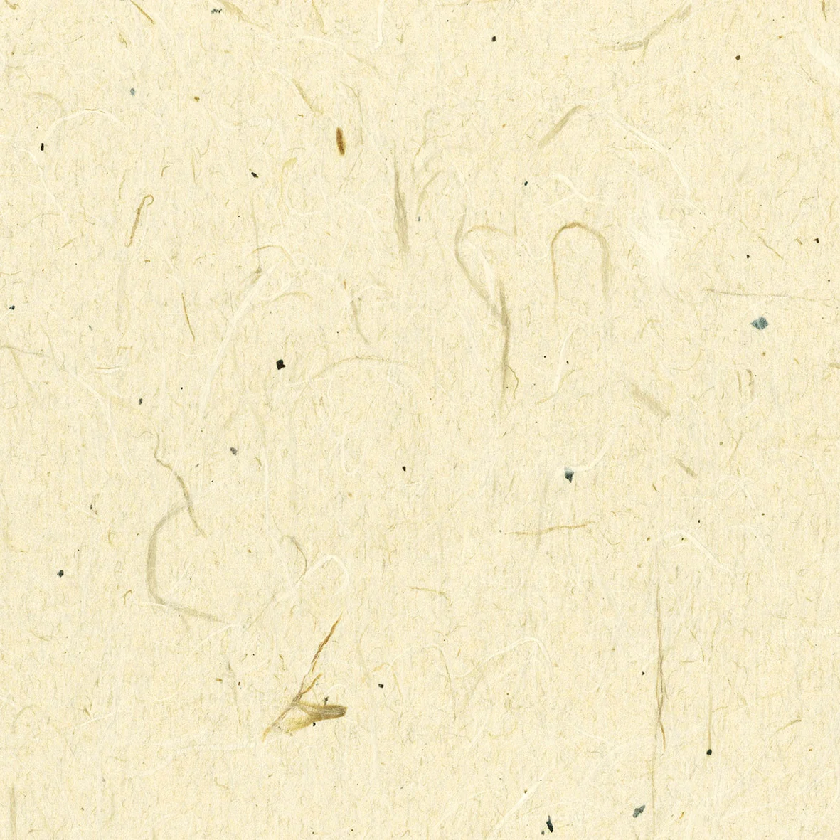 リリカラの「LMT-16173」のサブ画像1