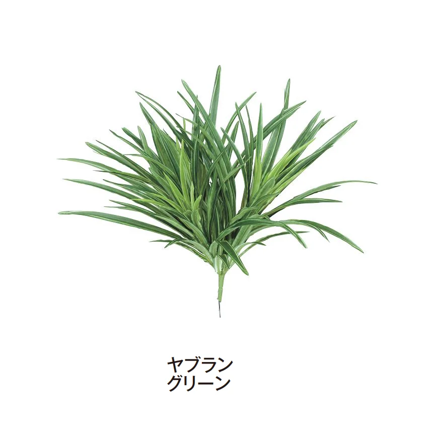 タカショーの「グランドカバー 下草」のサブ画像11