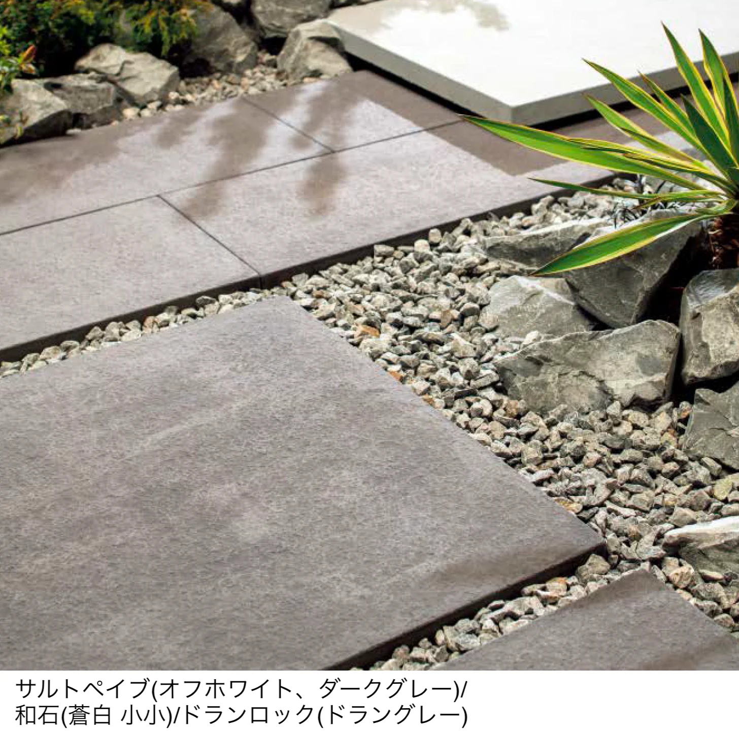 東洋工業の「サルトペイブ」のサブ画像2