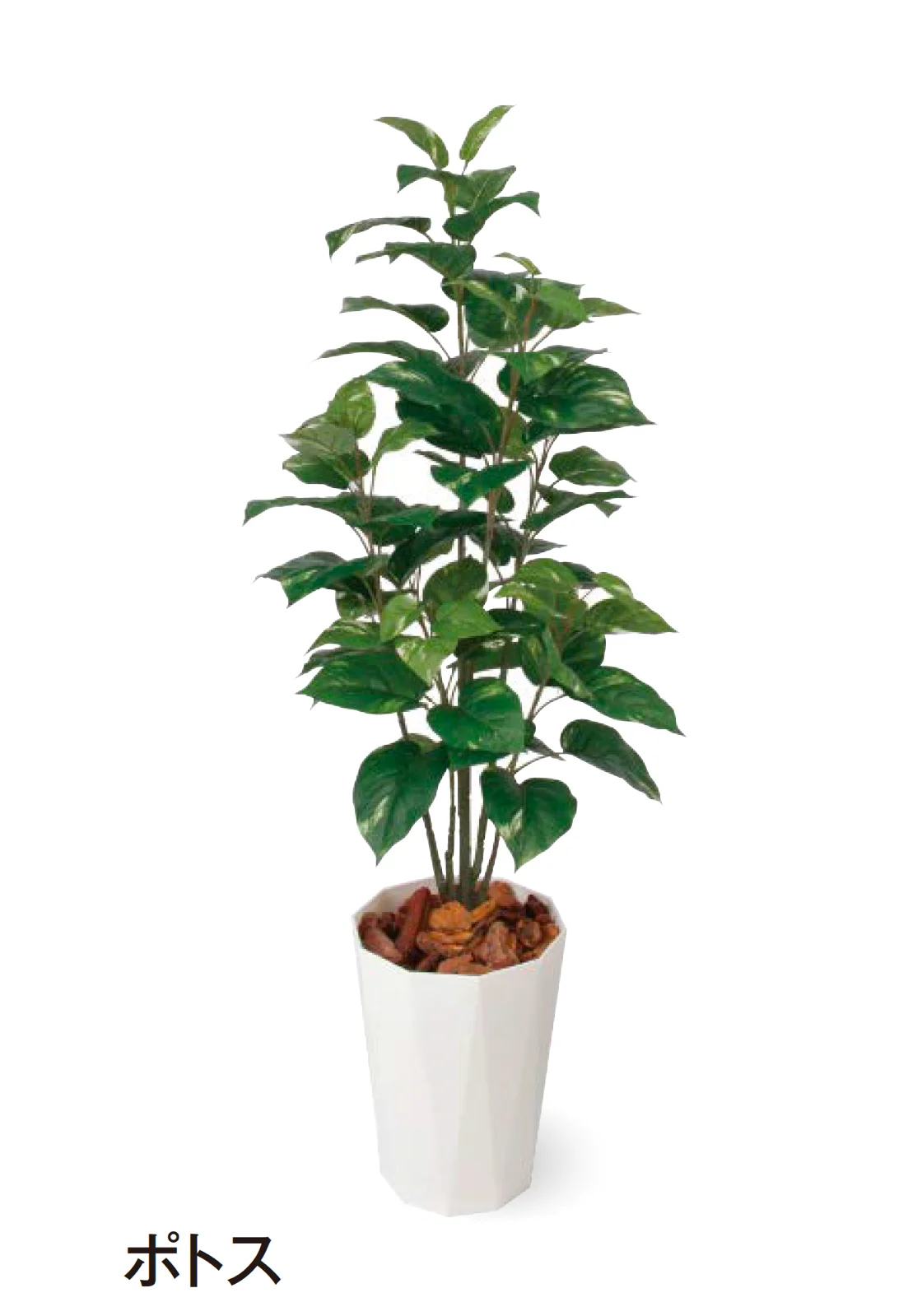 タカショー | 観葉植物 | 建材サーチ