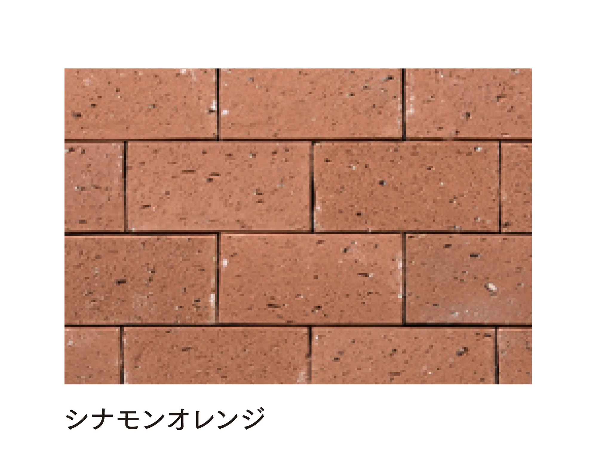 マチダコーポレーションの「ビクトリアペイブ」のサブ画像5